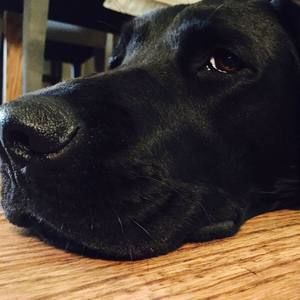 Meet your Posher, Diane